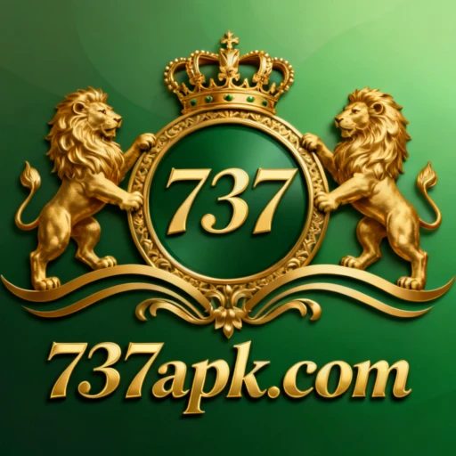 737 Logo