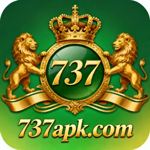 737 Logo